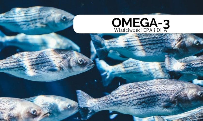 Omega-3 - czyli właściwości EPA i DHA - blog DrNatural.pl